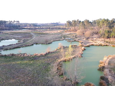 Zone Libellule de Mios - Les Bassins d'épandage