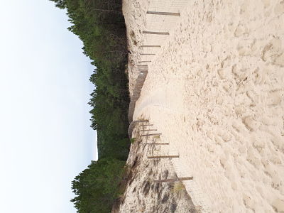 Plage du Petit Nice-Bassin Arcachon-Le chemin d'accès