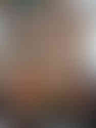 Notre potager en 2020 - Chez Pascale et Patrick - Citrouilles