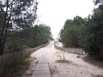 Plage de la Salie Sud-Bassin Arcachon