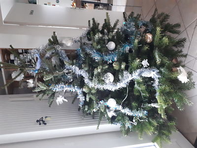 Notre sapin de noël 2020 - Vue de jour