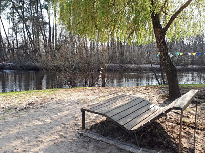 Balade en bord de Leyre, à Mios