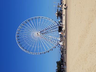 Coup de coeur des chambres d'hôte à Mios, bassin d'Arcachon