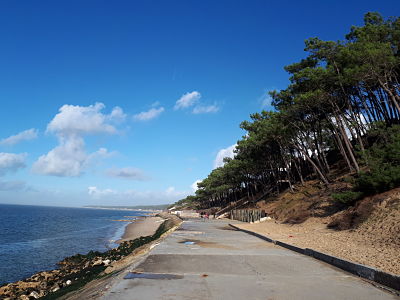 Balade à la Dune du Pyla - Après la descente des escaliers, promenade vers la dune