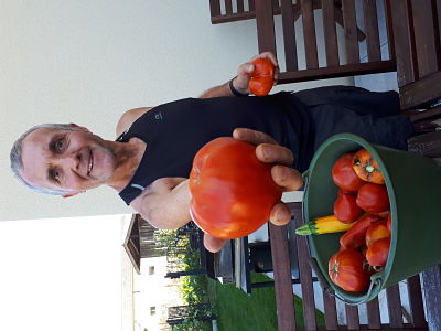 Notre potager en 2019 - Chez Pascale et Patrick - Une grosse tomate récoltée