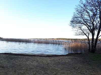 Balade à pied au lac de Sanguinet