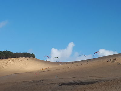 Balade à la Dune du Pyla - Plein de parapentes muticolores sur la Dune