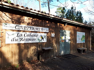 Prés-salés d'Ares-Lège - La cabane du résinier