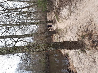Balade en bord de Leyre, à Mios