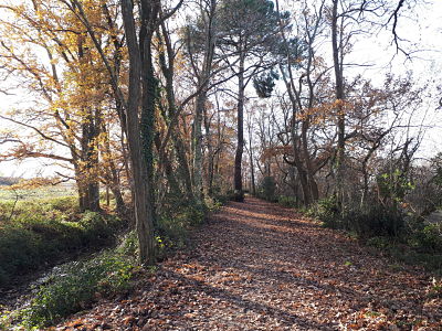 Port d'Audenge-Chemin vers le Domaine Certes