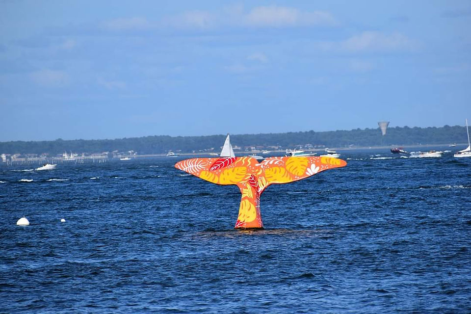 Balade en ville d'été à Arcachon - La queue de la baleine, jetée Thiers