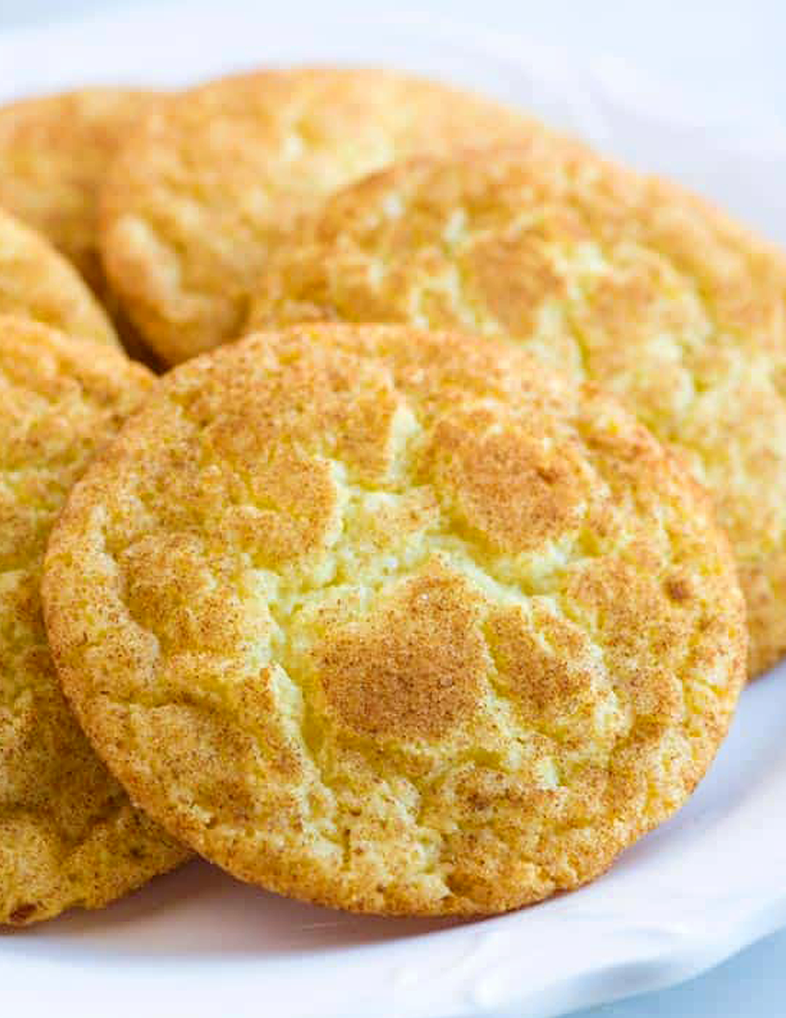 Snickerdoodles (special order)