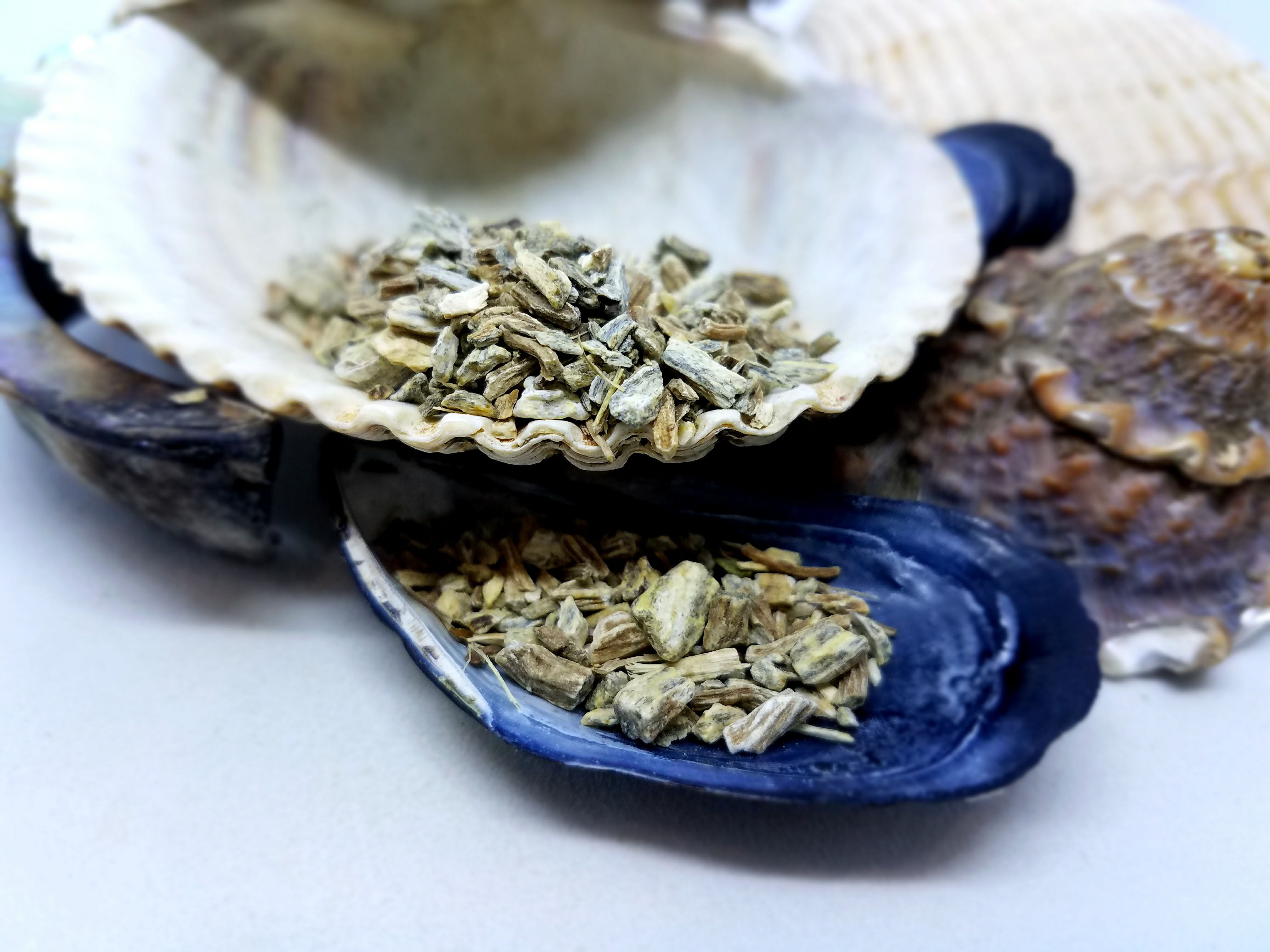 Echinacea Angustifolia Root