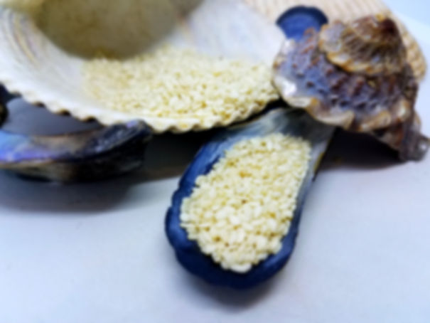Sesame Seed, White