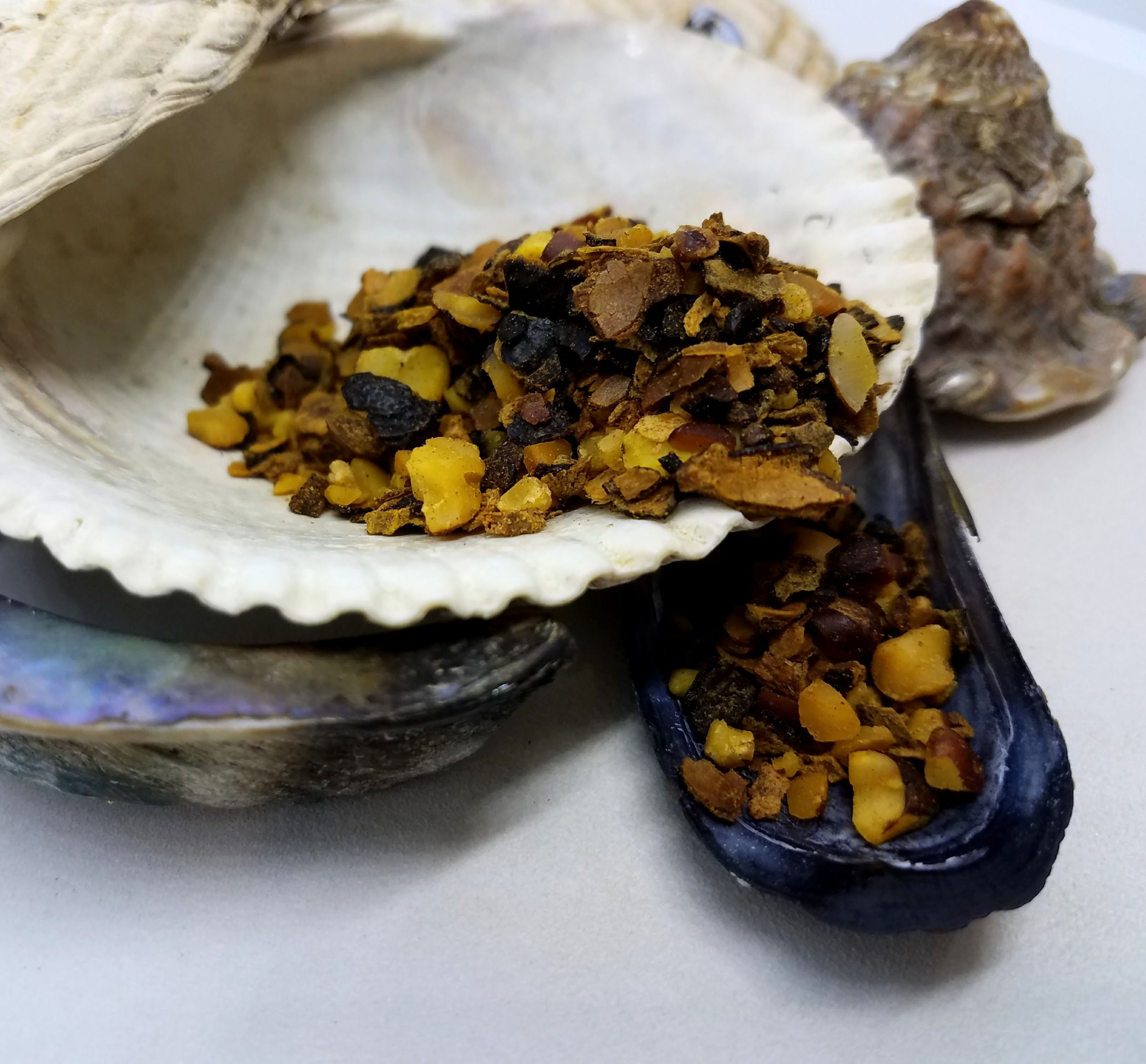 Saw Palmetto Berry