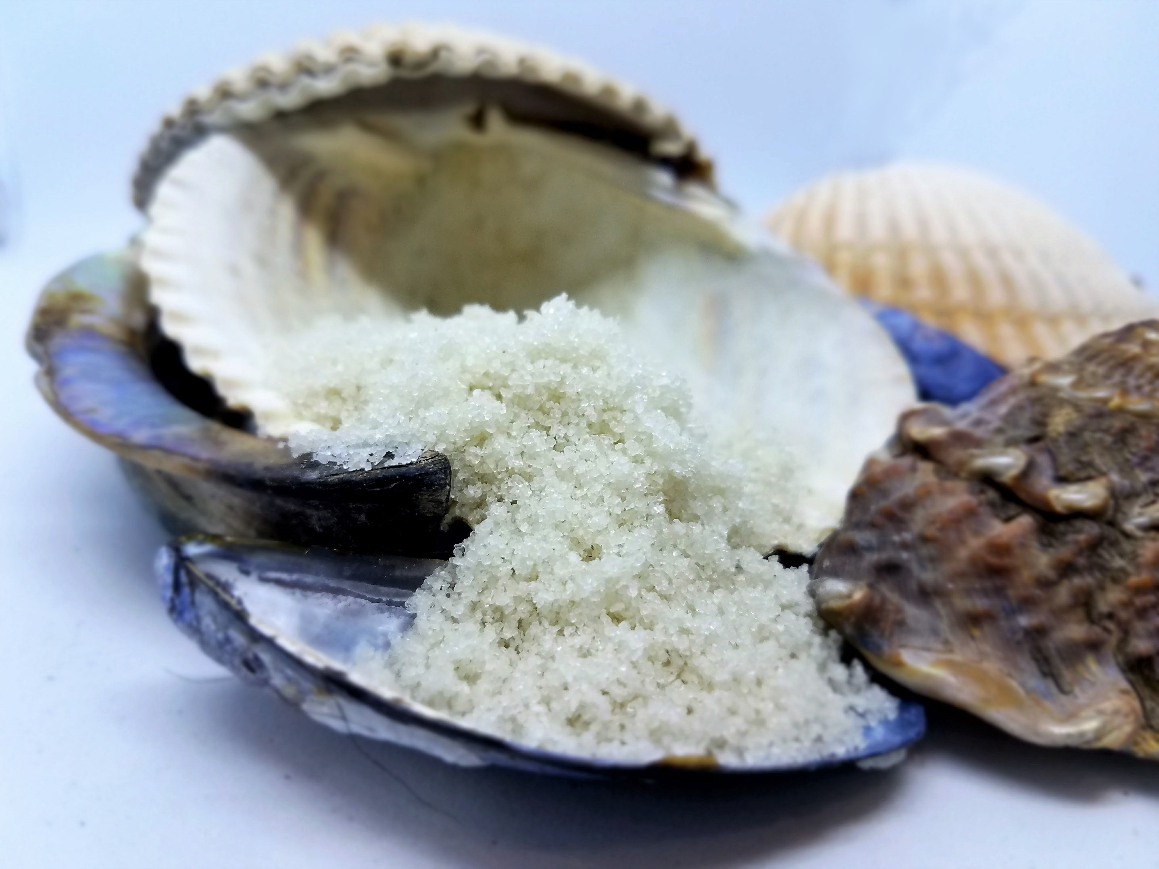 Sel Gris Celtic Sea Salt, Fine