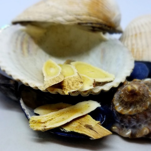 Astragalus Root Slices harborteaspice