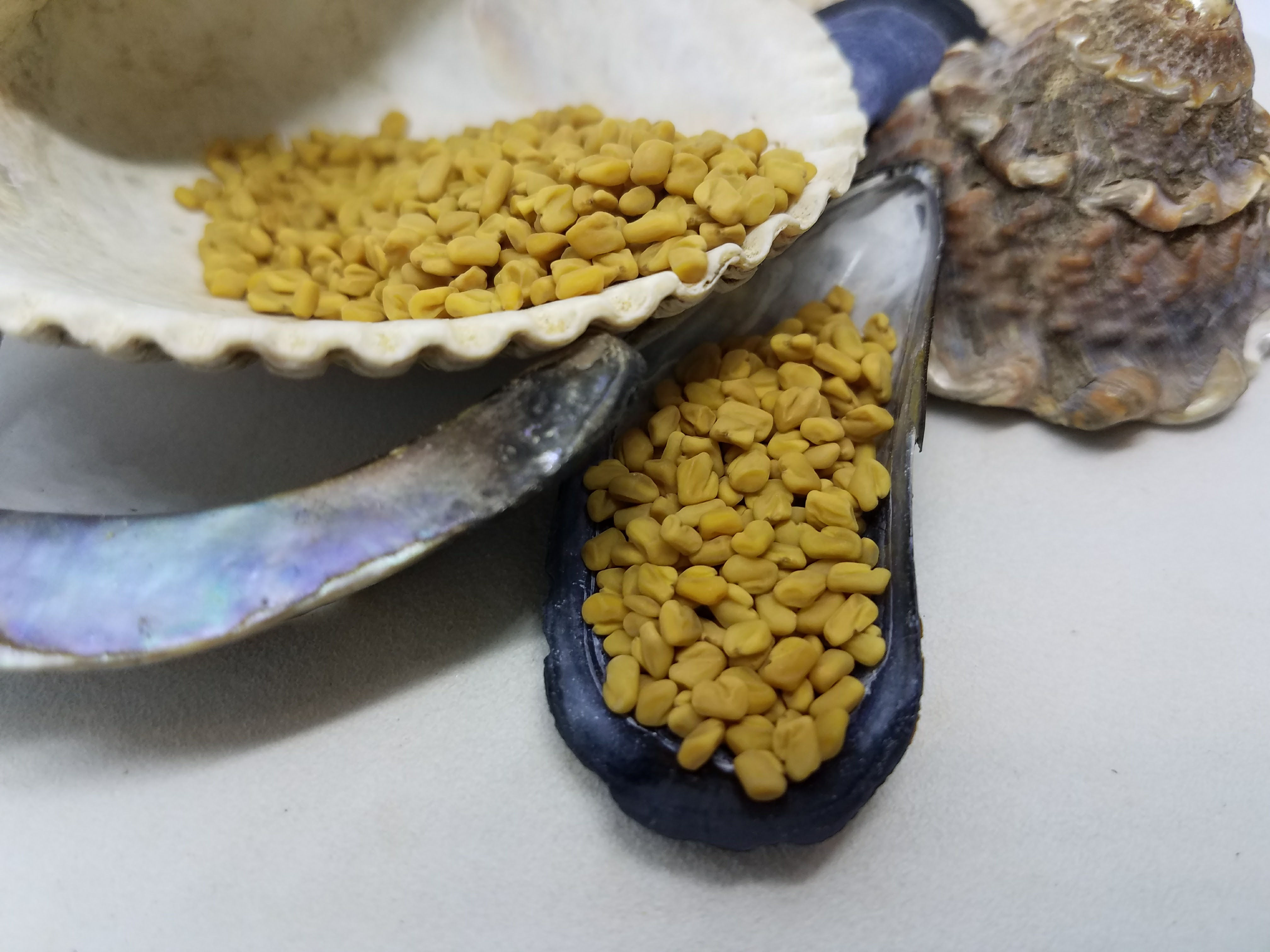 Fenugreek Seed Whole