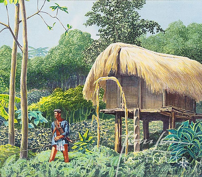 Upper Assam Jungle.jpg