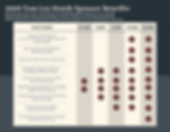 Blue Navy Simple Comparison Chart (3) (1