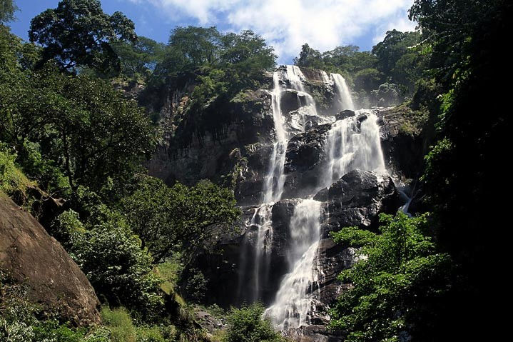 Udzungwa National Park - Falls