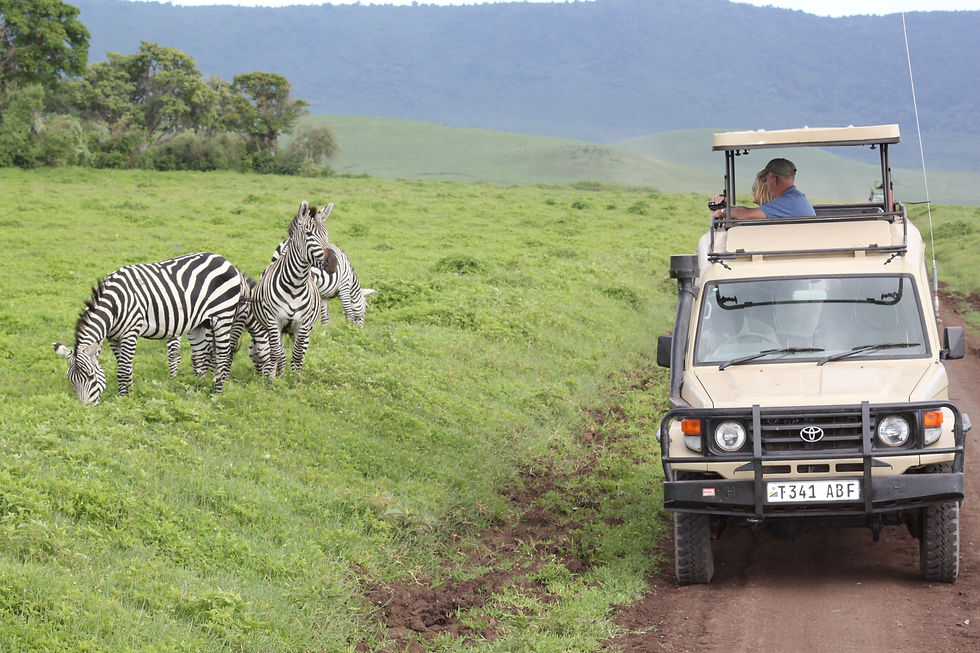 Ngorongoro - Crater Game Drive