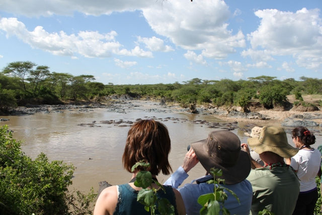 Serengeti National Park - Water Hole