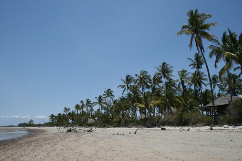 Saadani National Park - Beach