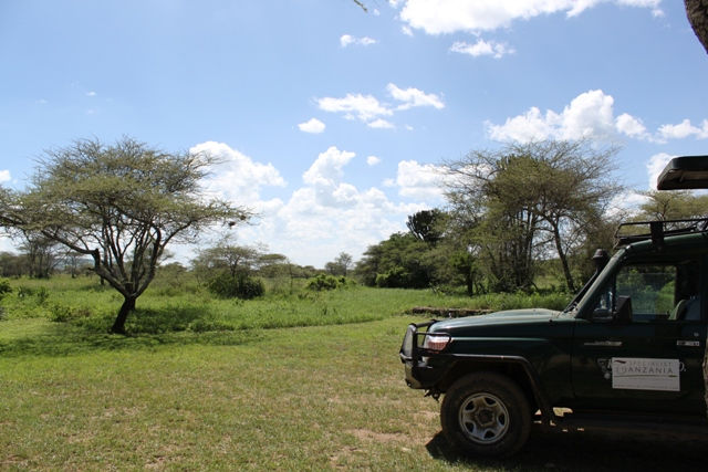 Serengeti National Park - Game Drive
