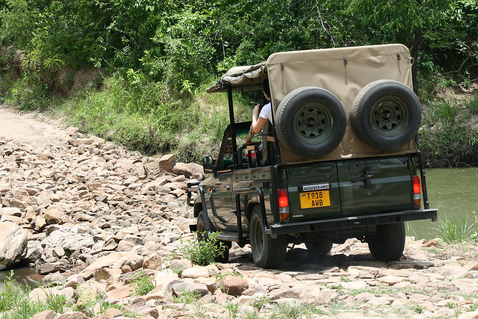 Selous Game Reserve - 4x4
