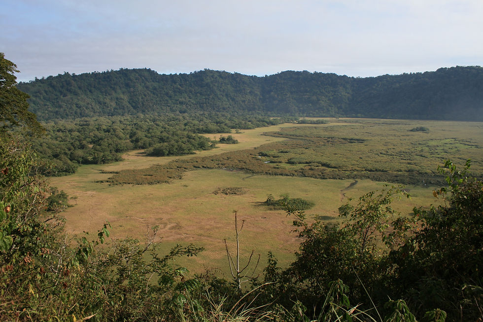 Arusha National Park - Crater