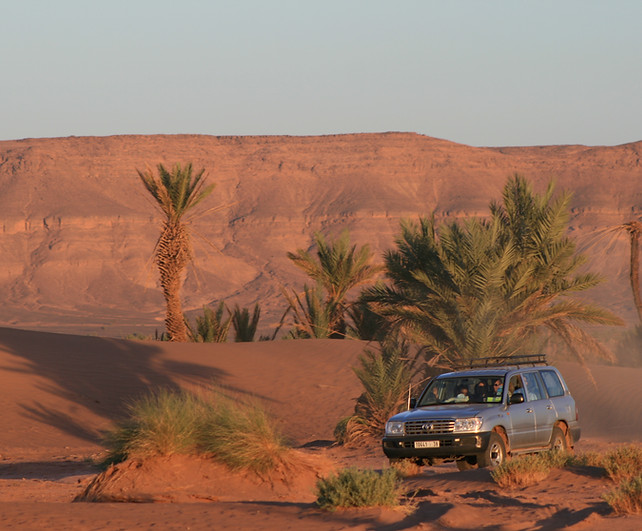 Highlights of Marrakech, Djemma El Fna