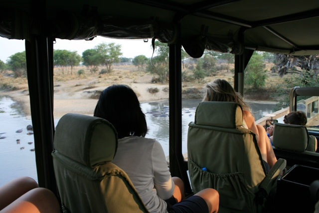 Katavi National Park - Game Drives