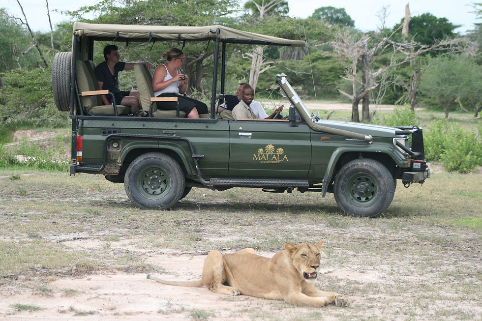 Selous Game Reserve - Game Drive