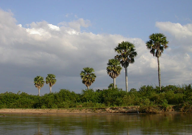 Rufiji River, Selous Game Reserve