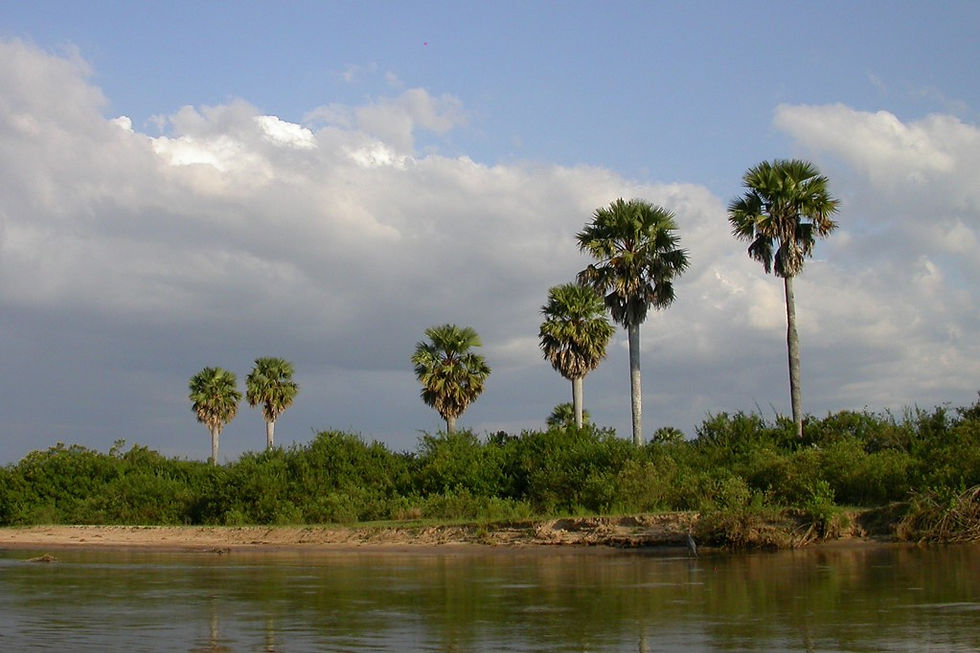 Selous Game Reserve - Scenery