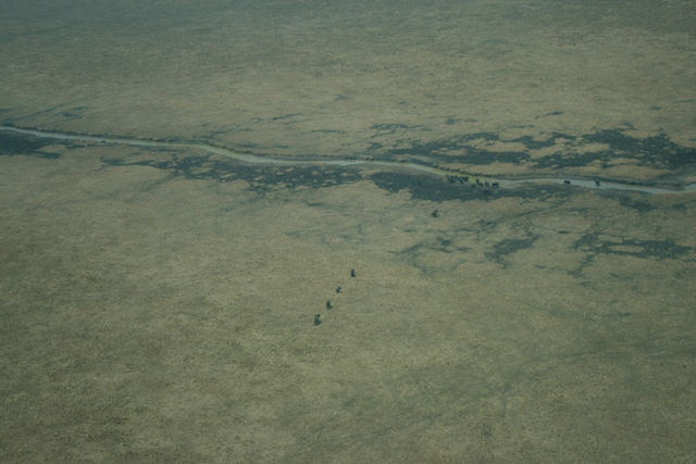Katavi National Park - Aerial View