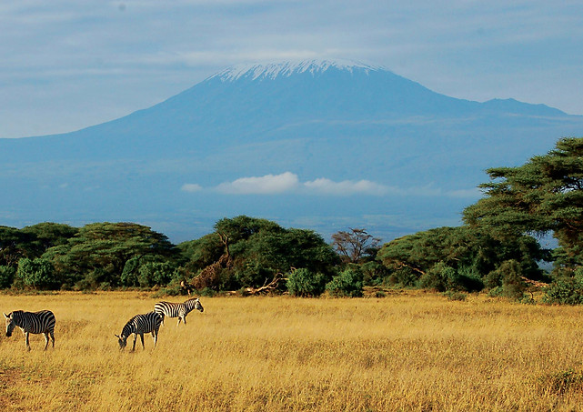 View of Kilimanjaro National Park