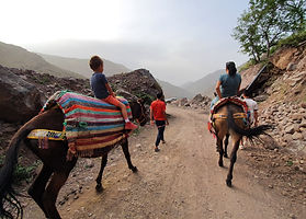 Dar Assarou - Mule Trek (14).jpg