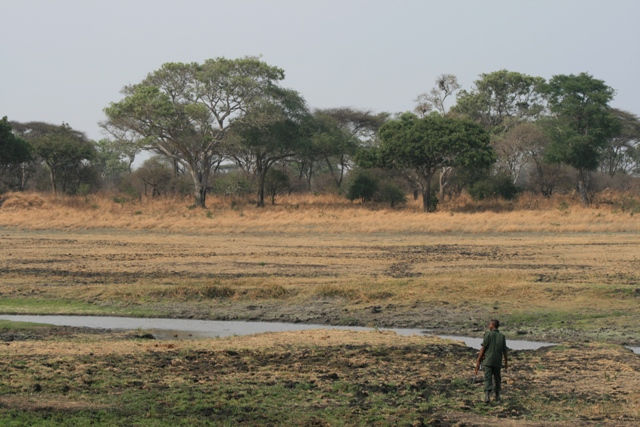 Katavi National Park - Foot Safari