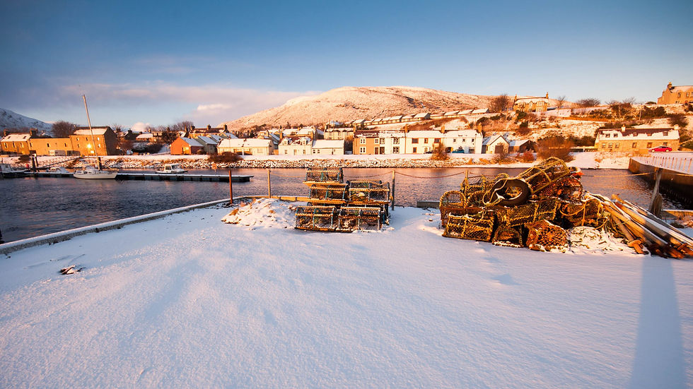 December Scene.jpg