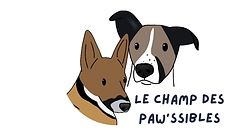 Logo le champ des paw'ssibles éducation canin comportement canin bilan comportemental et suivi comportemental formation théorique