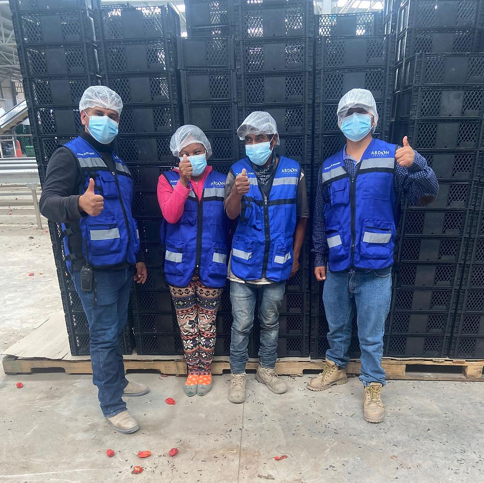 Trabajadores de empaque