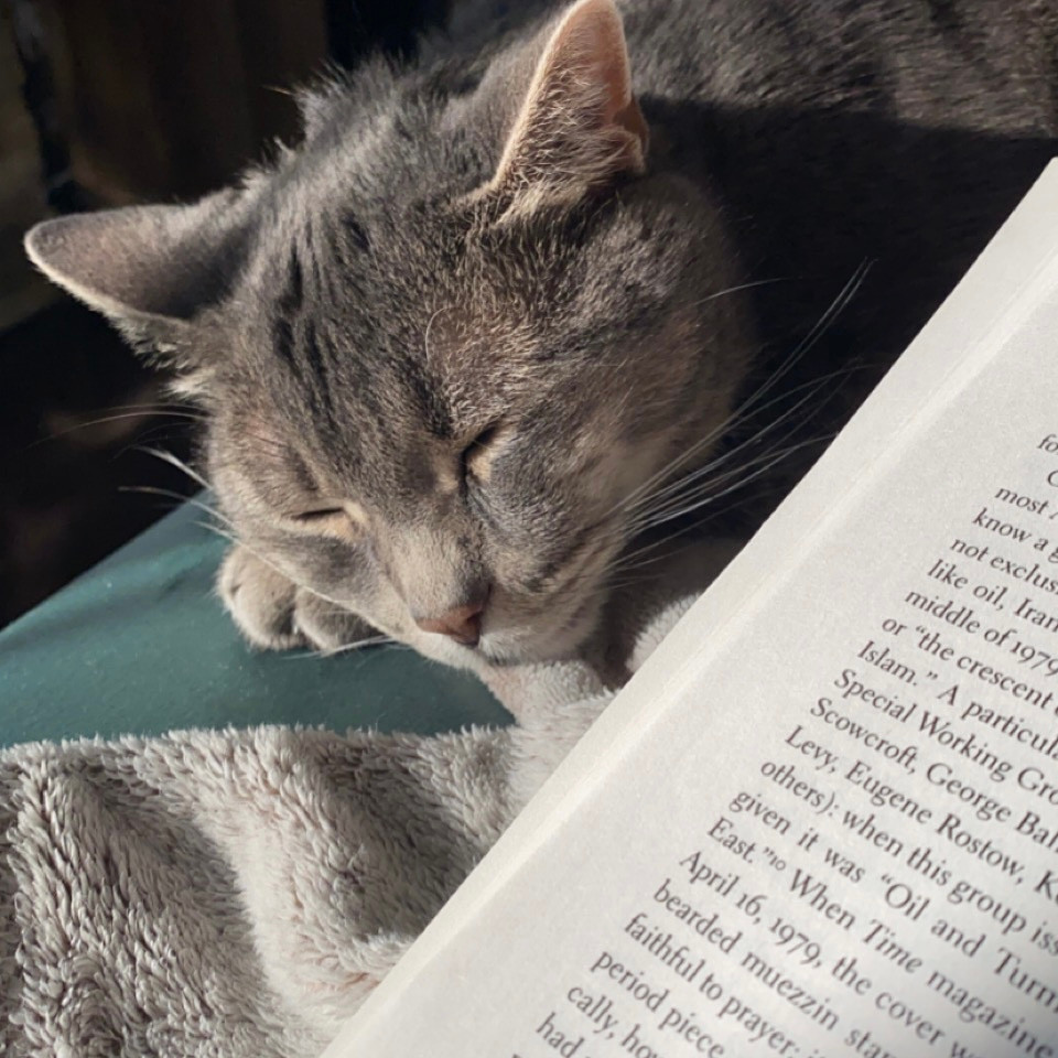 Cat sleeping next to an open book