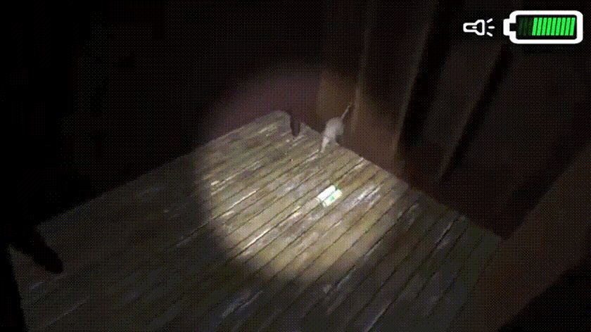 2024-01-03 14-46-58 (2).gif