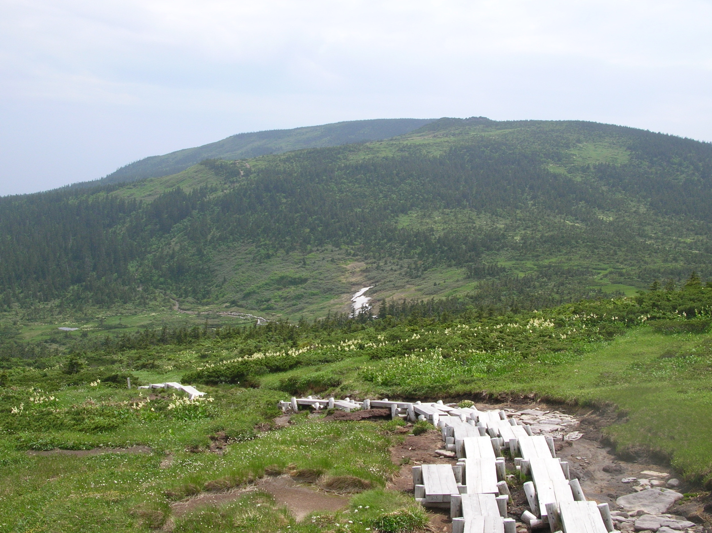 西吾妻山登山 | GREENseason