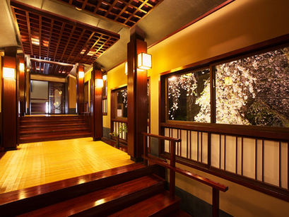 西屋 枝垂れ桜ライトアップ