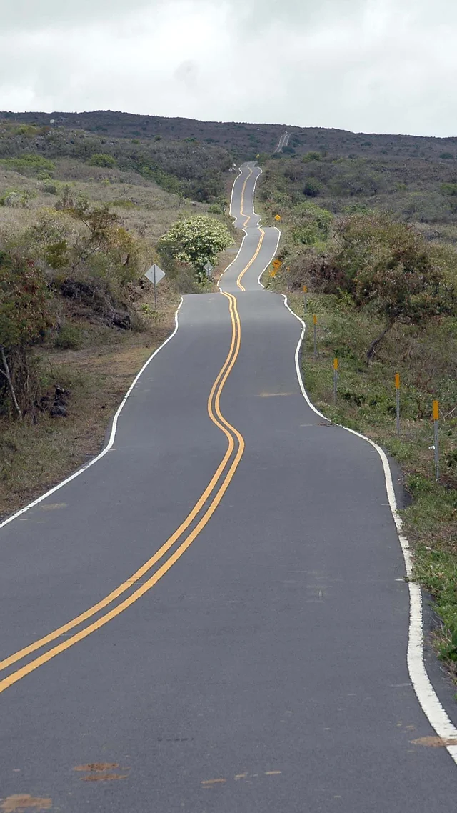 アラモレンタカー 保険内容詳細 Maui Dayz ハワイ州