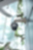 CCTV Camera.jpeg