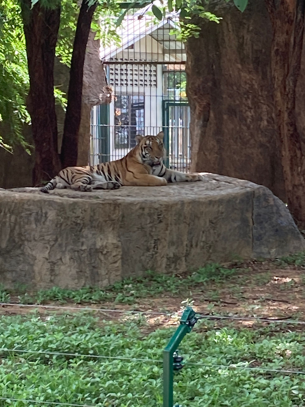 2024-06-01_09-47-37_761